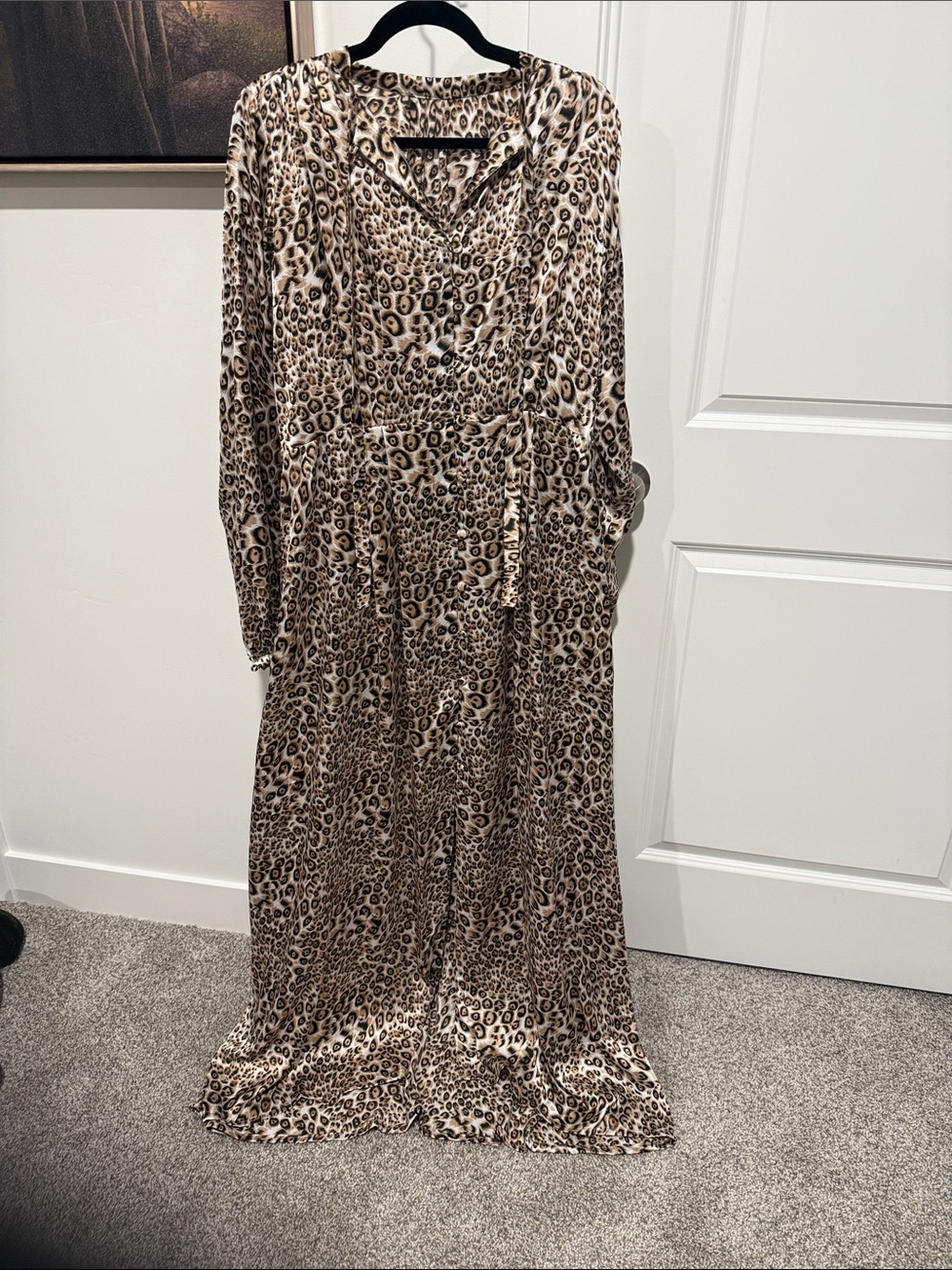 Leopard Print Long Sleeve Maxi Dress - Neutral Brown